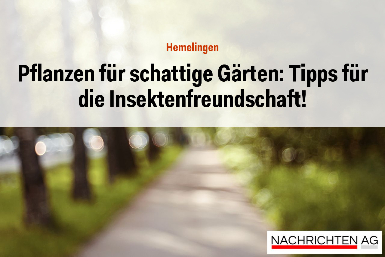 Pflanzen für schattige Gärten: Tipps für die Insektenfreundschaft!