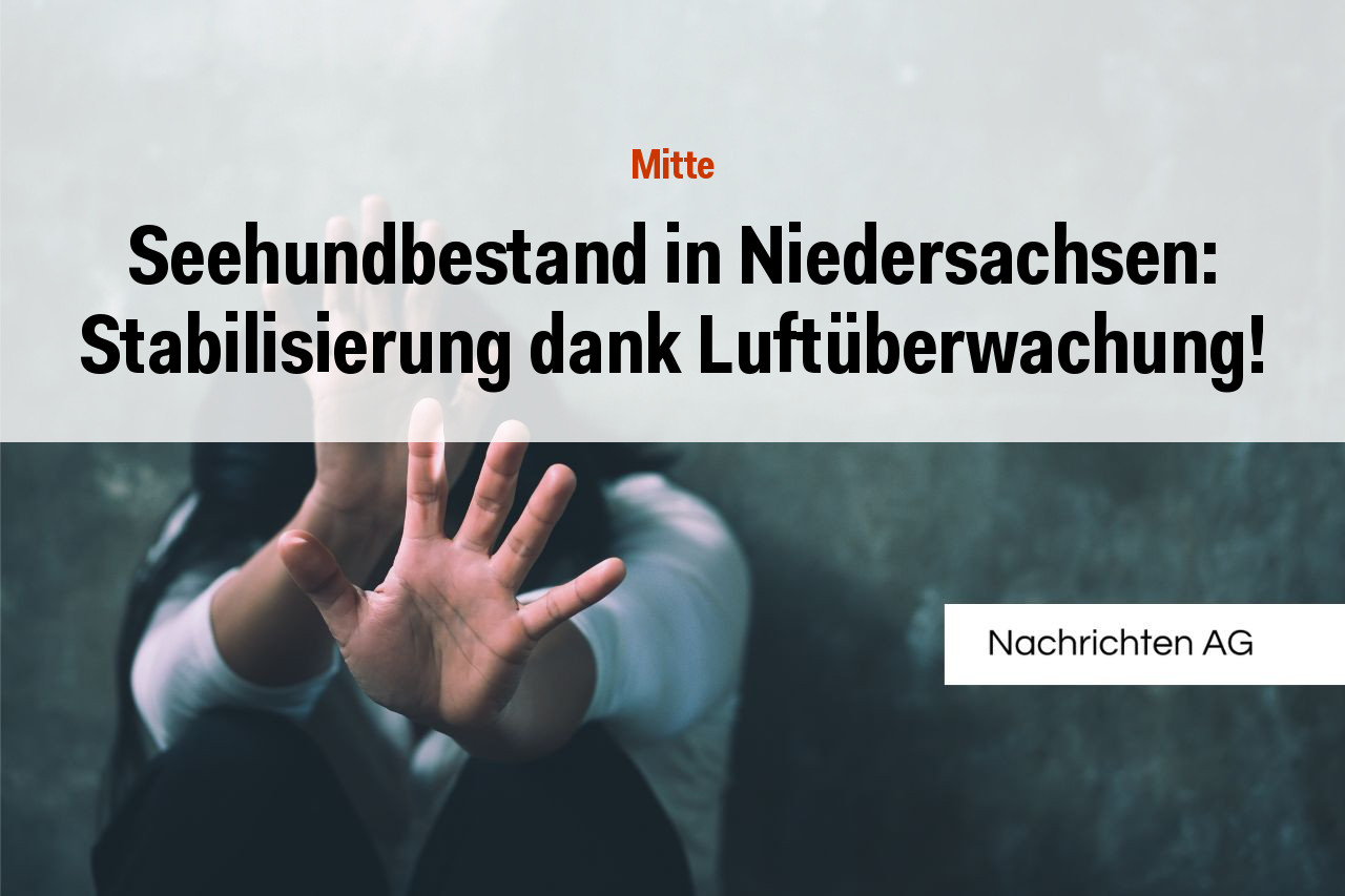 Seehundbestand in Niedersachsen: Stabilisierung dank Luftüberwachung!