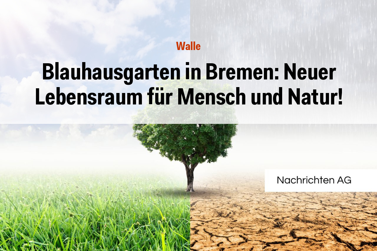 Blauhausgarten in Bremen: Neuer Lebensraum für Mensch und Natur!