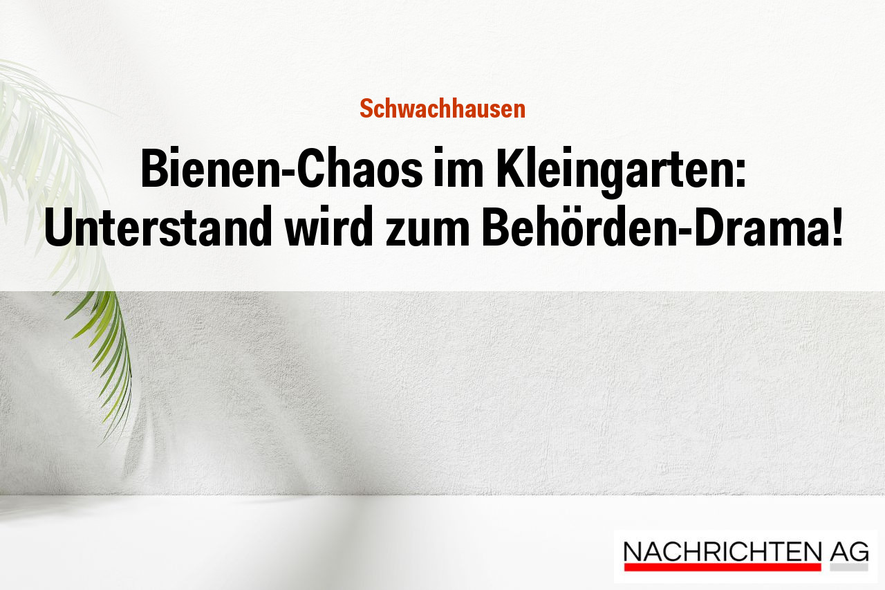 Bienen-Chaos im Kleingarten: Unterstand wird zum Behörden-Drama!