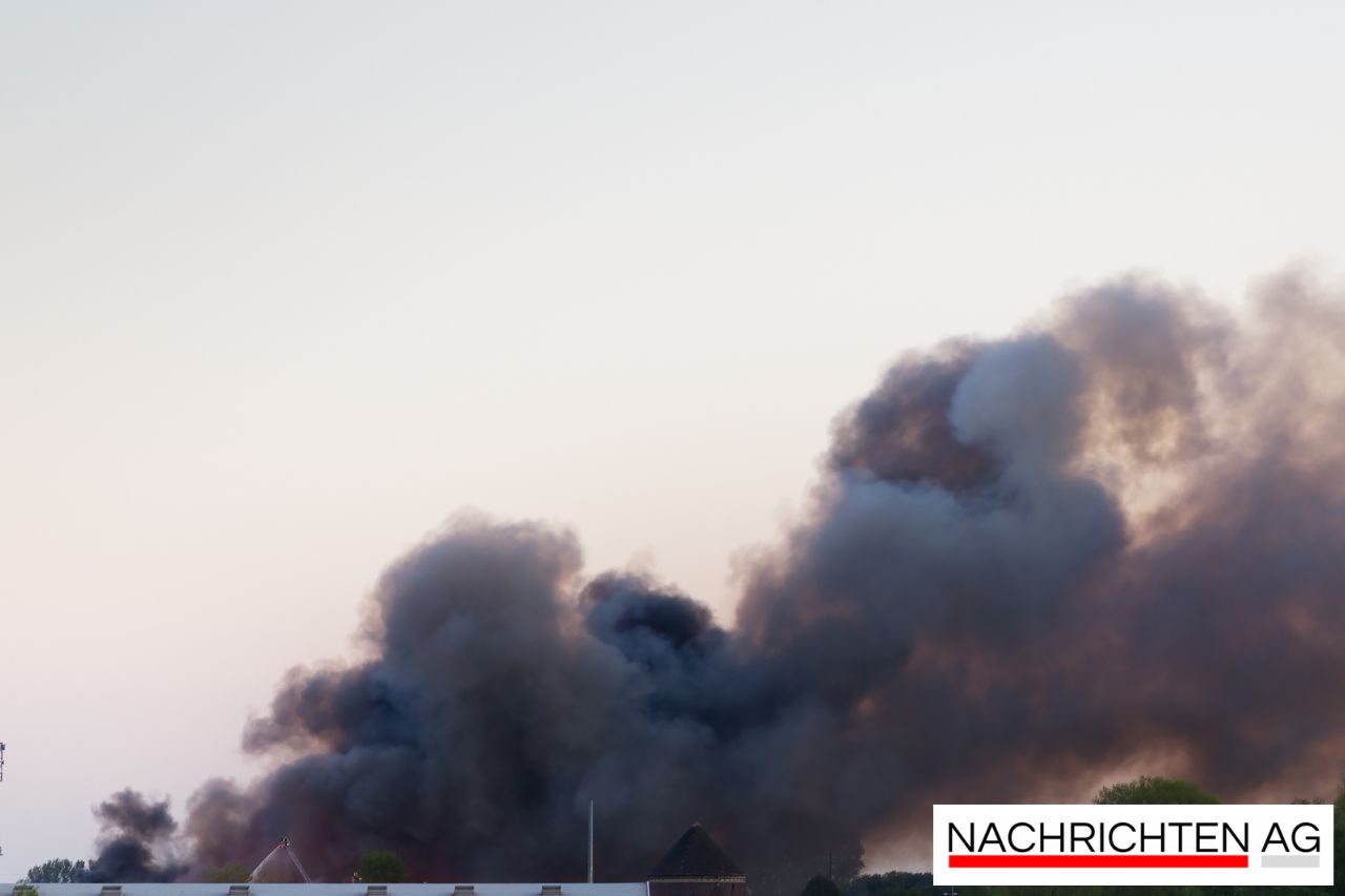 Großbrand im Hamburger Hafen: Staatsanwaltschaft ermittelt gegen Geschäftsführer